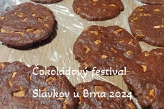 cokoladovy-festival-slavkov-u-brna-2024-11