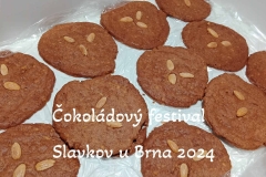 cokoladovy-festival-slavkov-u-brna-2024-12