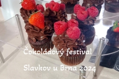 cokoladovy-festival-slavkov-u-brna-2024-16