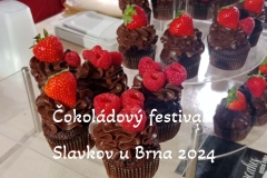 cokoladovy-festival-slavkov-u-brna-2024-17