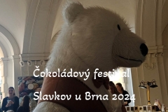 cokoladovy-festival-slavkov-u-brna-2024-29