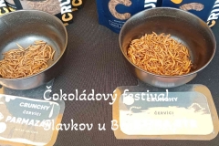 cokoladovy-festival-slavkov-u-brna-2024-35