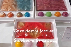 cokoladovy-festival-slavkov-u-brna-2024-57