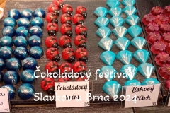 cokoladovy-festival-slavkov-u-brna-2024-70